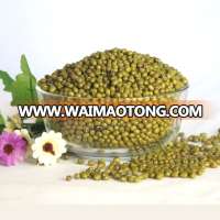 Agricultural crop green mung bean buyers with lower price