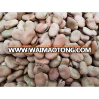 2017 crop Dried Broad Beans / Fava Beans 80-100pcs/100g