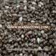 Salvia Hispanica / Chia Seeds For Sale