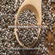 Wholesale Chia Seeds