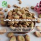 China Qinghai Origin competitive price dry broad beans/Fava Beans