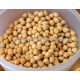 Indian Sized Bold Chick Peas