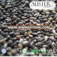 Black Chia Seeds in 25 kg Paper Bags. Shipping from the United States