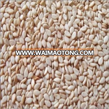 Natural and Hulled Sesame Seeds