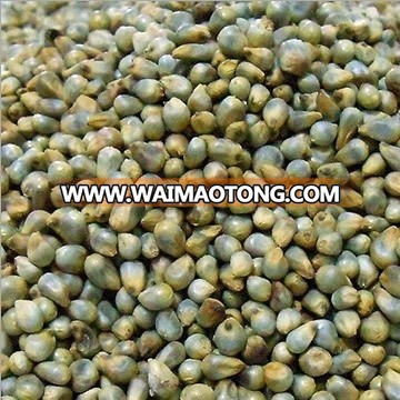 Green Millets