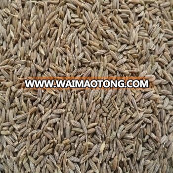 Cumin seeds