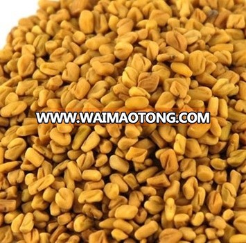 Fenugreek Seed