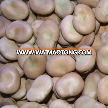 Broad Beans Dried